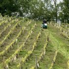 photo d'une OREC RM 60 W en action au sein d'un champ de vigne